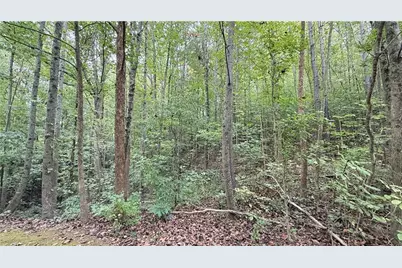 8935 Saddle Trail, Ball Ground, GA 30107 - Photo 6