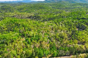 1933 Hwy 136 W, Talking Rock, GA 30175 - Photo 1