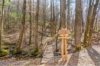 257 Pine Ridge Road, Ellijay, GA 30536 - Photo 54