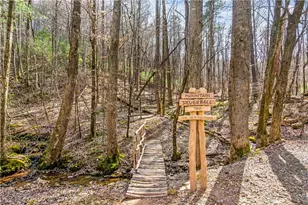 257 Pine Ridge Rd, Ellijay, GA 30536 - Photo 54