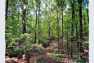 1001 Herrell Road, Villa Rica, GA 30180 - Photo 104