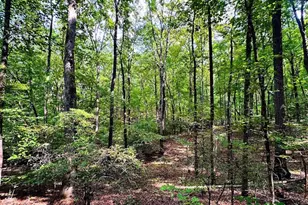 1001 Herrell Rd, Villa Rica, GA 30180 - Photo 104