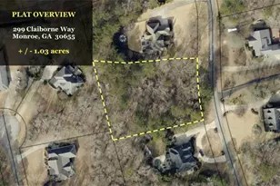 299 Claiborne Way, Monroe, GA 30655 - Photo 38