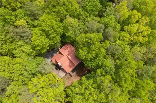 305 Martin Crossing, Cherry Log, GA 30522 - Photo 36