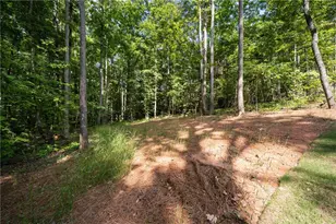 [Address not provided], Dawsonville, GA 30534 - Photo 52