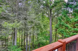 450 Flat Creek Cir, Blue Ridge, GA 30513 - Photo 72