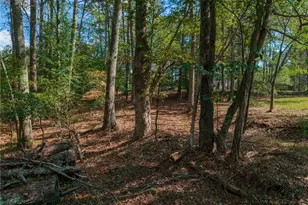 469 Flatbottom Rd, Ball Ground, GA 30107 - Photo 14