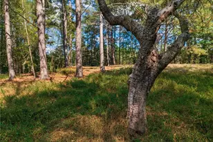 469 Flatbottom Rd, Ball Ground, GA 30107 - Photo 10