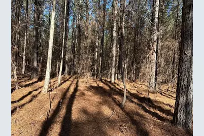 1107 Larmon Forks Road, Dahlonega, GA 30533 - Photo 1