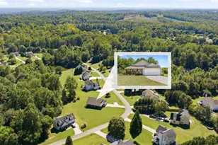 219 Mallard Pond Cir, Alto, GA 30510 - Photo 48