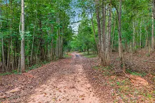 339 Jennings Ln, Nicholson, GA 30565 - Photo 58