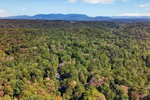 1485 Newport Dr, Ellijay, GA 30540 - Photo 10