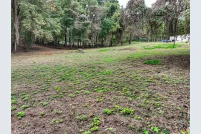 Tr 2 Davis Road, Blue Ridge, GA 30513 - Photo 16