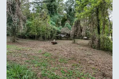 Tr 2 Davis Road, Blue Ridge, GA 30513 - Photo 6