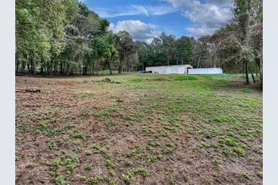 Tr 2 Davis Road, Blue Ridge, GA 30513 - Photo 4