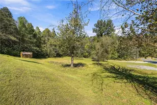 120 Hobson Dr, Jasper, GA 30143 - Photo 46
