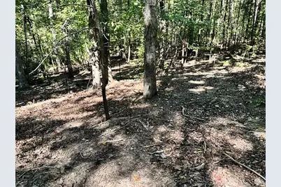 0 Whippoorwill Way, Alto, GA 30510 - Photo 4