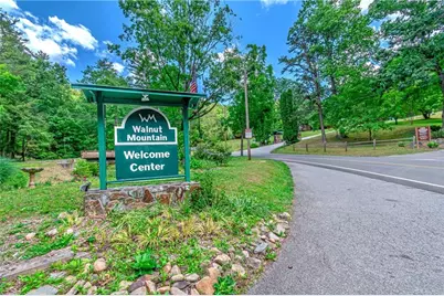 341 Valley View Road, Ellijay, GA 30536 - Photo 62