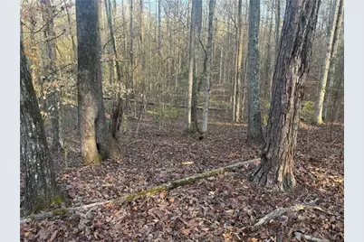 0 Indian Creek Trail, Madison, GA 30650 - Photo 10