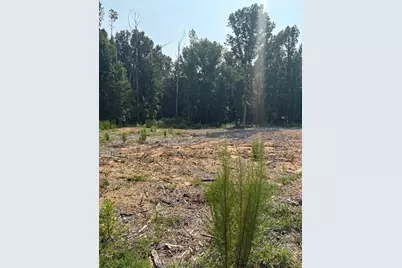 3101 Hammock Creek Court, Conyers, GA 30012 - Photo 2