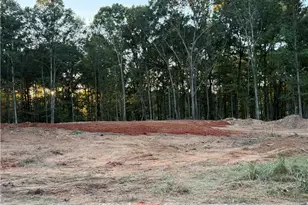37 Springtime Way, Monroe, GA 30655 - Photo 2