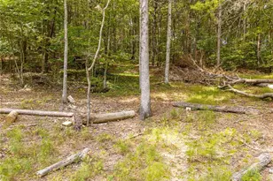 54 Cunningham Mountain Rd, Ellijay, GA 30536 - Photo 26