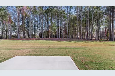 142 White Spruce Way, Newnan, GA 30265 - Photo 16