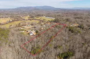 2164 Yukon Rd, Ellijay, GA 30536 - Photo 42