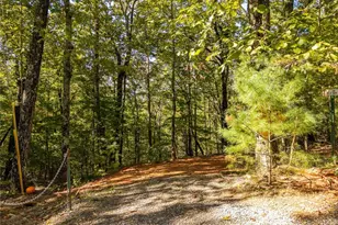 638 Abbott Top Rd, Ellijay, GA 30540 - Photo 10