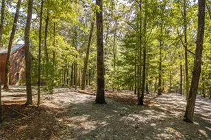 638 Abbott Top Rd, Ellijay, GA 30540 - Photo 16