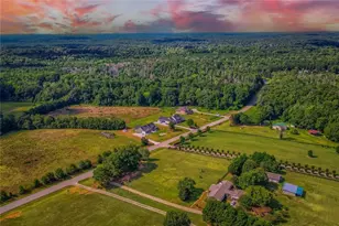 1225 Rocky Creek Rd, Locust Grove, GA 30248 - Photo 4