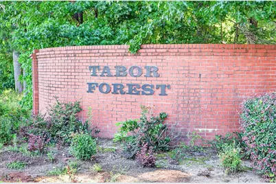 20 Tabor Forest Drive, Oxford, GA 30054 - Photo 56