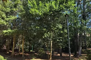 3226 Henderson Mill Rd, Atlanta, GA 30341 - Photo 10
