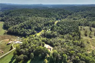 4725 Boardtown Rd, Ellijay, GA 30540 - Photo 62