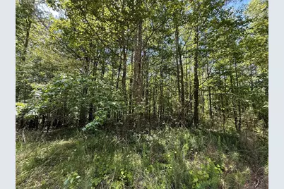 467 N Raburn Road, Bremen, GA 30110 - Photo 4