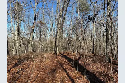 0 Charlie Lemley Road, Dawsonville, GA 30534 - Photo 6