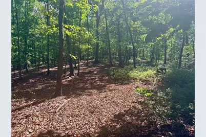 7-/+ Charlie Lemley Road, Dawsonville, GA 30534 - Photo 8