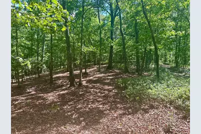 7-/+ Charlie Lemley Road, Dawsonville, GA 30534 - Photo 10