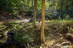 509 Wisteria Ln, Morganton, GA 30560 - Photo 84
