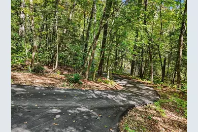 596 Moses Road, Rabun Gap, GA 30568 - Photo 46