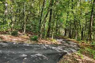 596 Moses Rd, Rabun Gap, GA 30568 - Photo 46