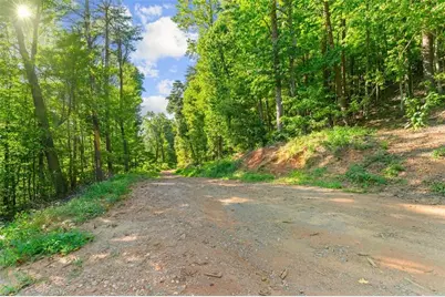 Lot 4 Firetower Rd, Jasper, GA 30143 - Photo 4