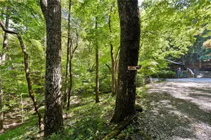 300 Frost Pine Cir, Jasper, GA 30143 - Photo 42