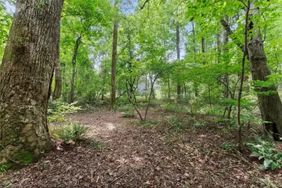 8817 Shallow Creek Trail, Clermont, GA 30527 - Photo 54