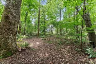 8817 Shallow Crk Trl, Clermont, GA 30527 - Photo 54