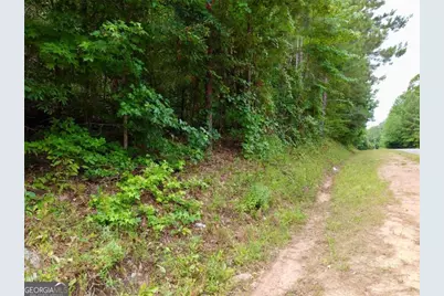 0 Parker Road, Covington, GA 30014 - Photo 12