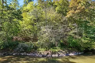 328 Cain Creek Overlook, Ball Ground, GA 30107 - Photo 70