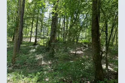 115 Mary Lane, Maysville, GA 30558 - Photo 6