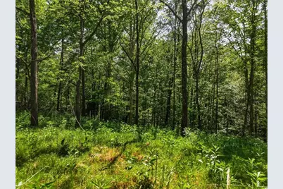 Lot 3 Summit Drive, Dahlonega, GA 30533 - Photo 4