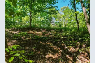 Lot 6 Summit Drive, Dahlonega, GA 30533 - Photo 6